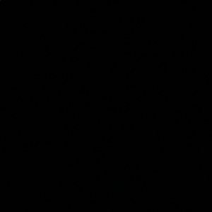 Meet your Posher, Donzell